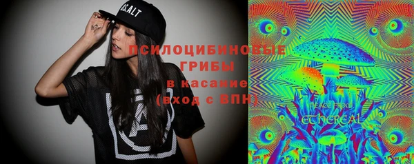 дурь Алзамай