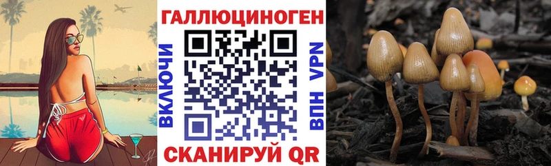 Галлюциногенные грибы Cubensis  Инсар 